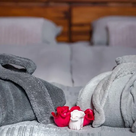 Na Barokní Cestě Wellness&spa Plasy