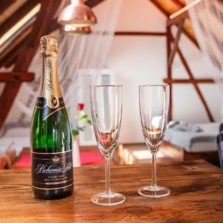 Na Barokní Cestě Wellness&spa Apartmán Plasy